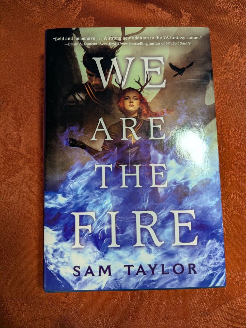 We Are the Fire by Sam Taylor